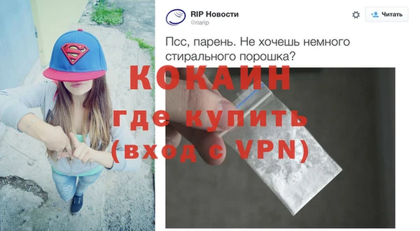 стаф Богданович