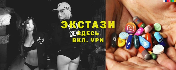 стаф Богданович
