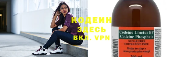 стаф Богданович