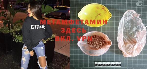 стаф Богданович